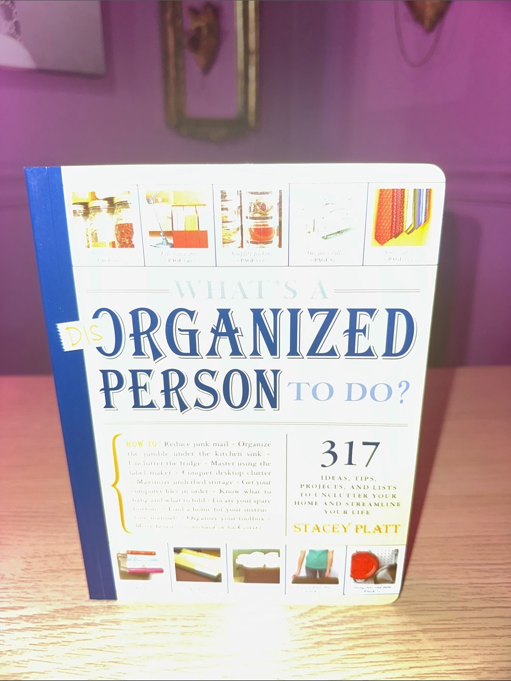 What's a Organized Person to Do? Book - Blue & White